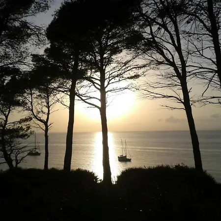 Rosers Colonia de Sant Pere